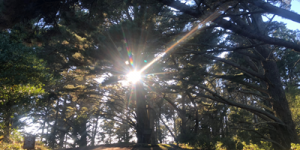 Believe you can travel and be Healthy Anywhere