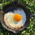 Excellent nutrition in pasture-raised eggs vs cage free or free range alternatives