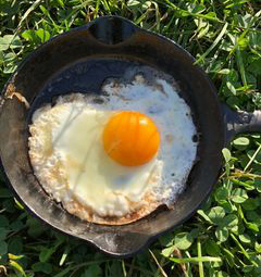 Excellent nutrition in pasture-raised eggs vs cage free or free range alternatives