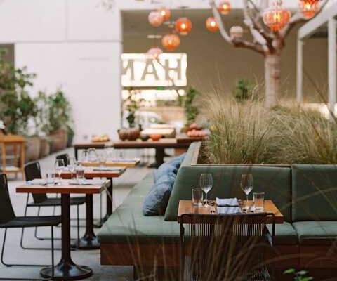 beautiful outdoor dining at Hammer Museum LA in Westwood: local, seasonal, regenerative organic restaurant LULU