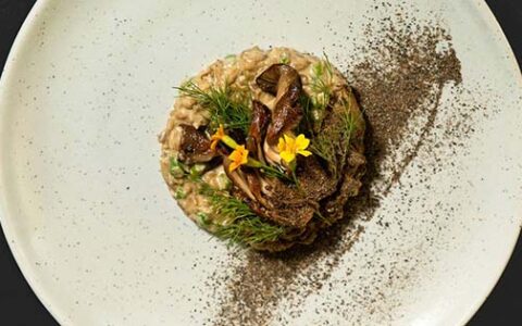 foraged mushroom risotto all organic, sustainable and delicious vegan healthy food at PLANT Miami
