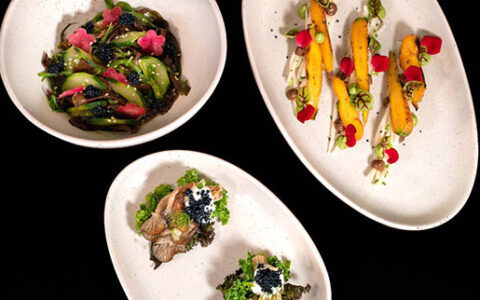 beautiful healthy sustainable vegetable spread harvested from dedicated farm at PLANT Miami