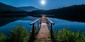 eat and live healthy and sustainably to make every day Earth Day