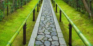 Celebrating how far we've come + massive progress in 2023 for Healthy Anywhere